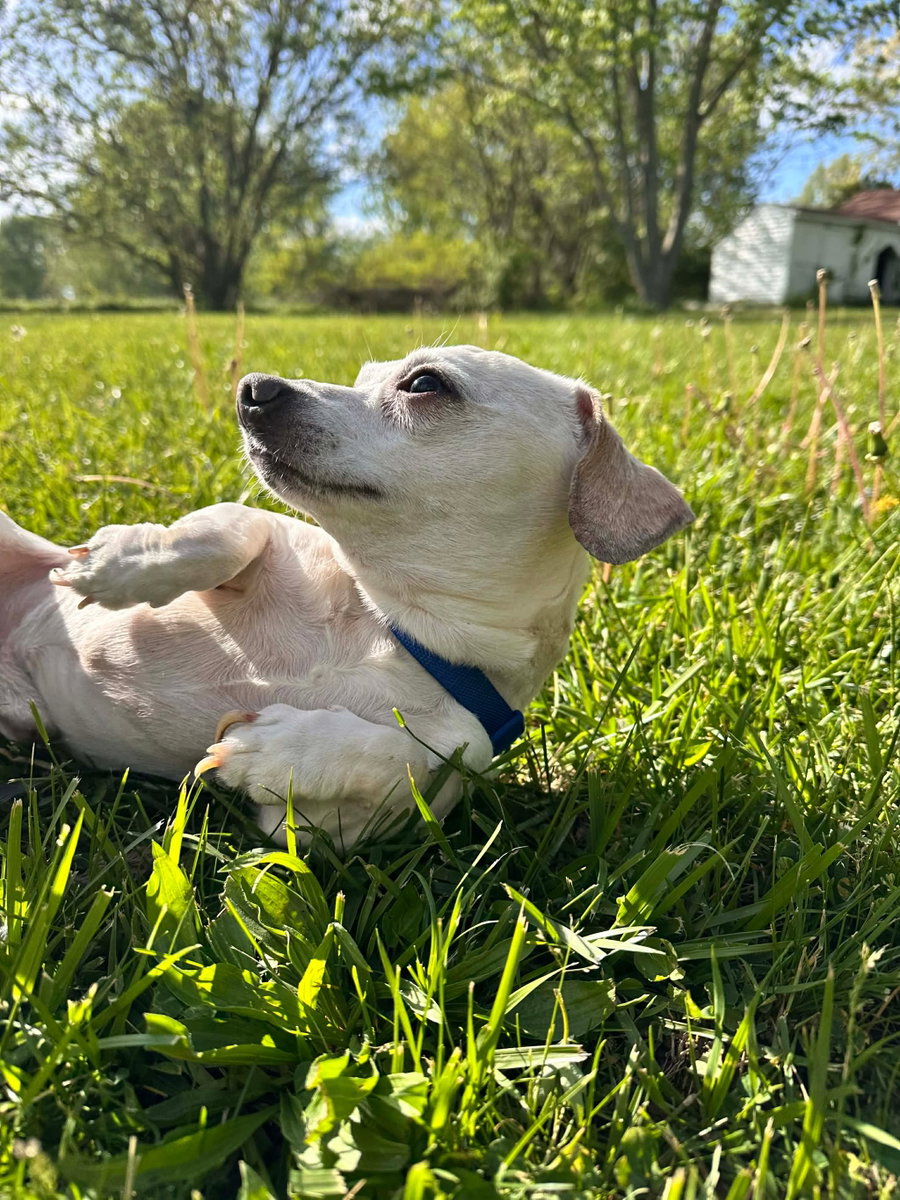 Radar Max