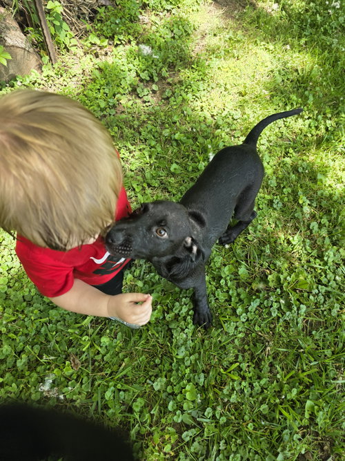 Ozzy photo 4