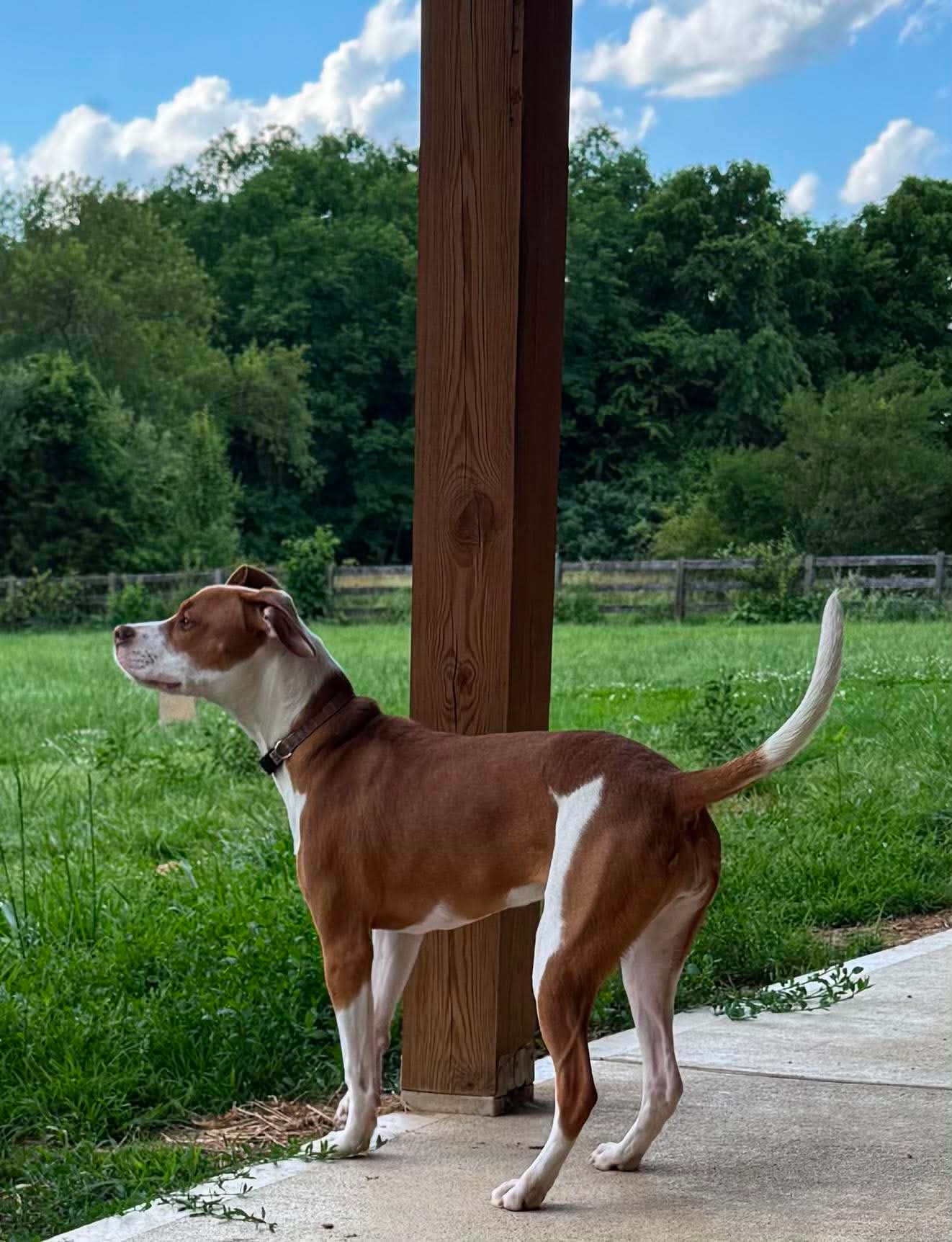 Mayleigh, photo 9