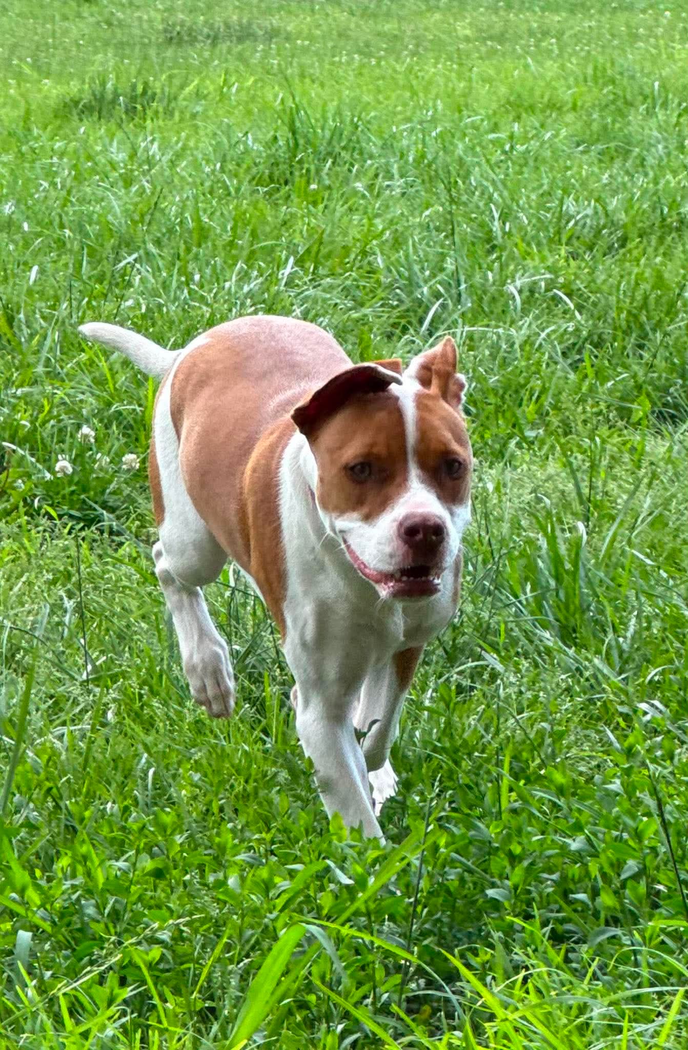 Mayleigh, photo 11