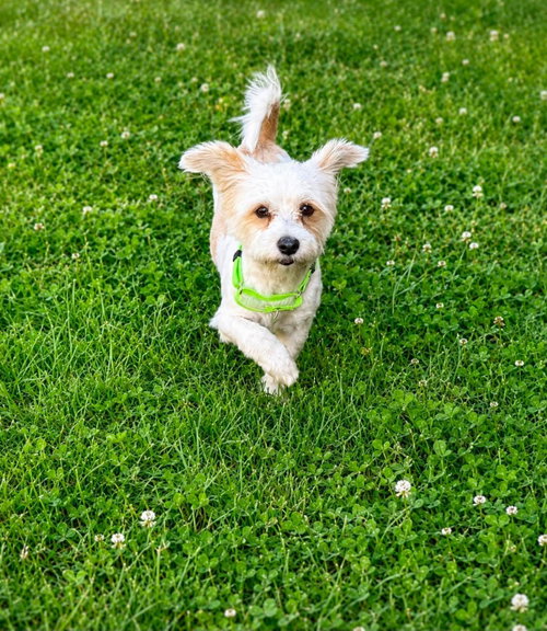 Josie Mae photo 2