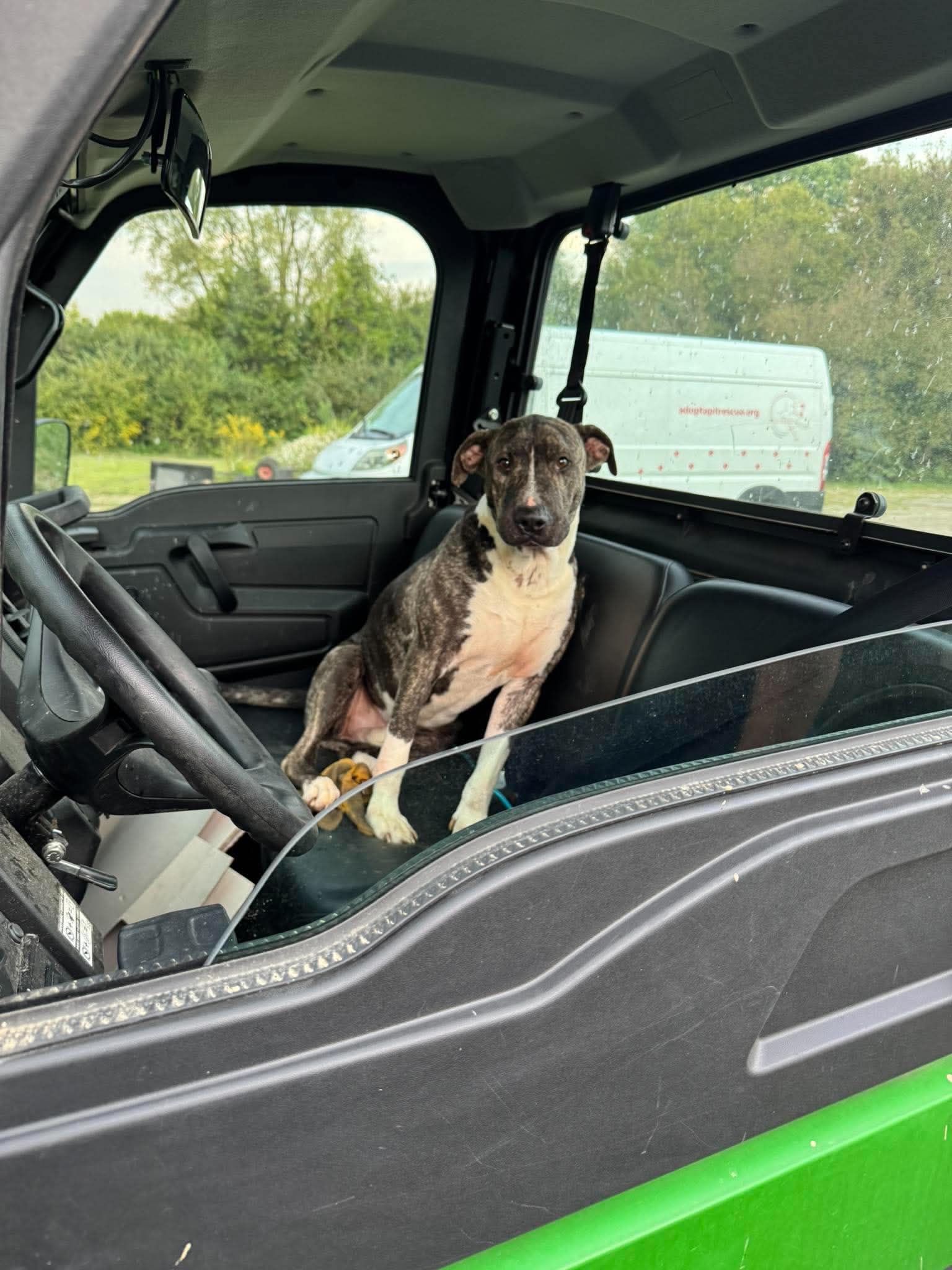 Earl Greyer, photo 5