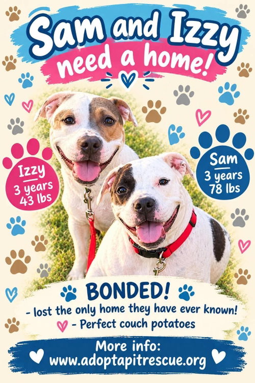 Photo 2 of Sam & Izzy