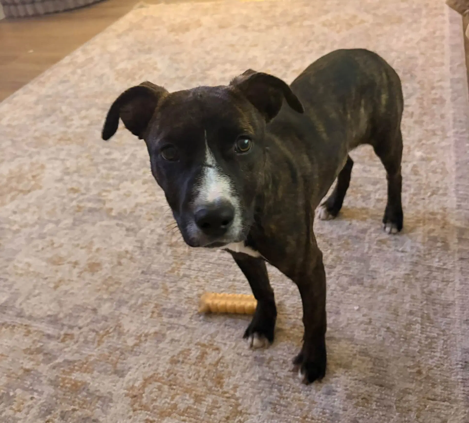 Layla Rose image 2
