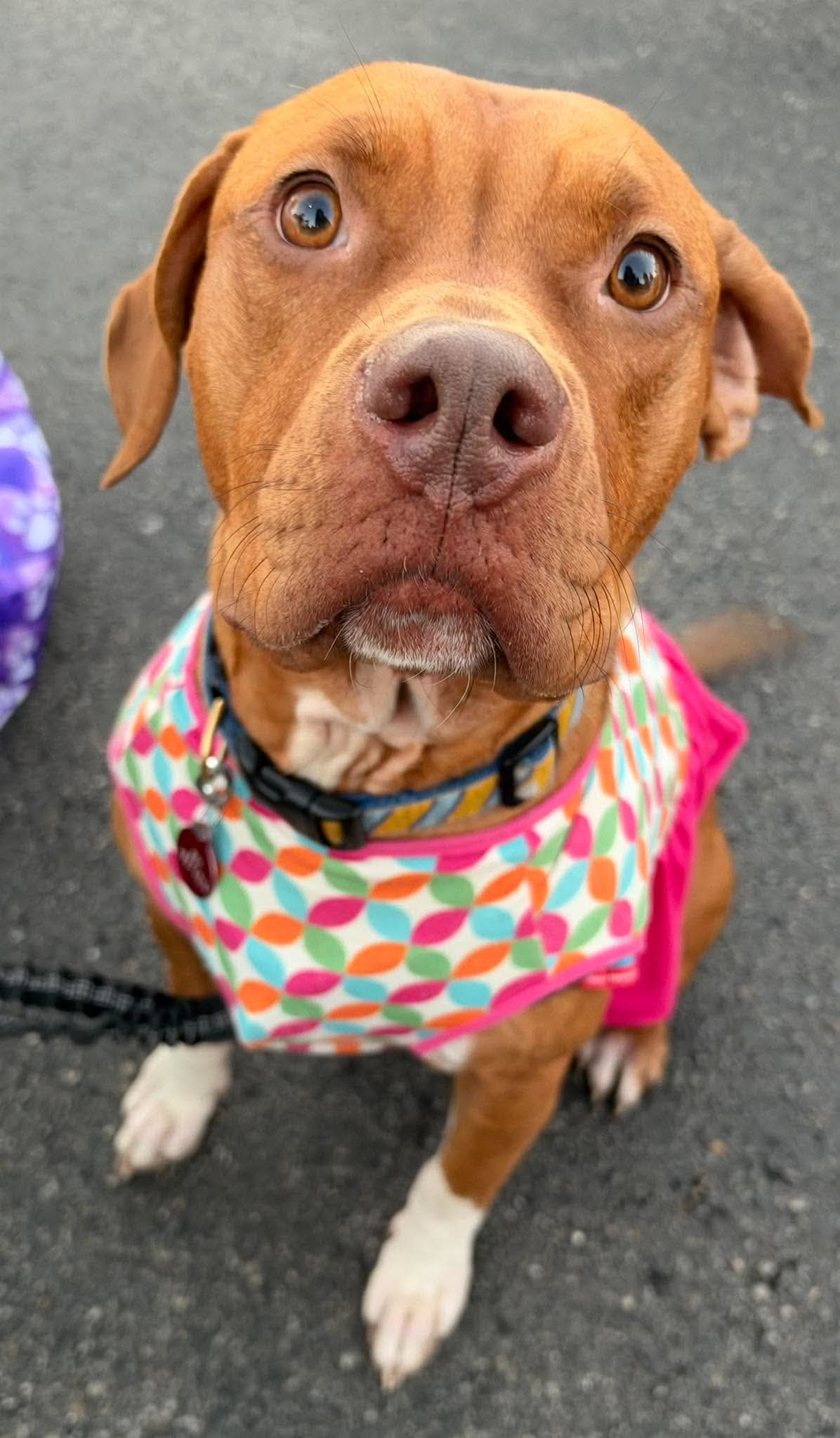 Penny Sue