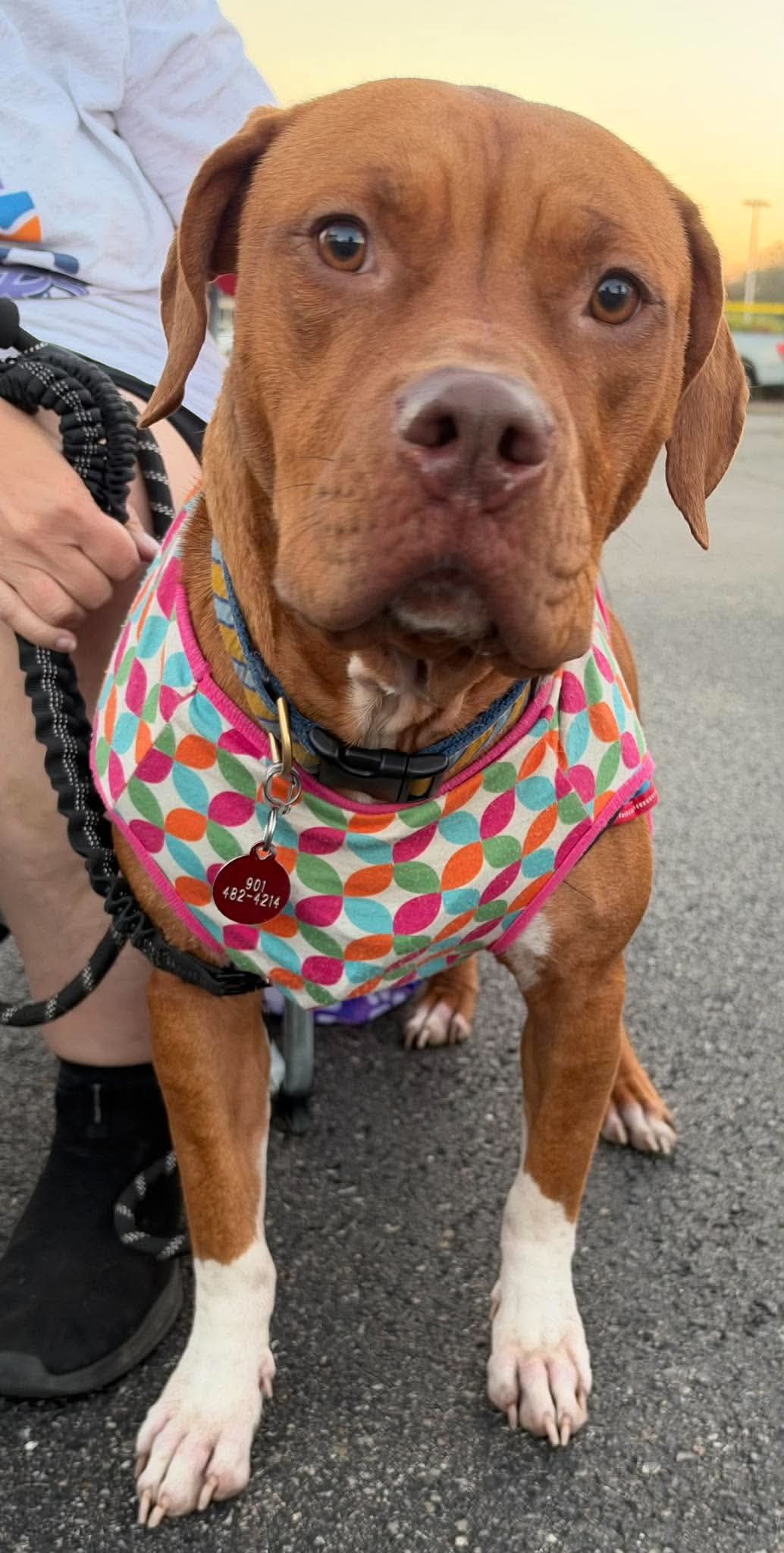Penny Sue, photo 3