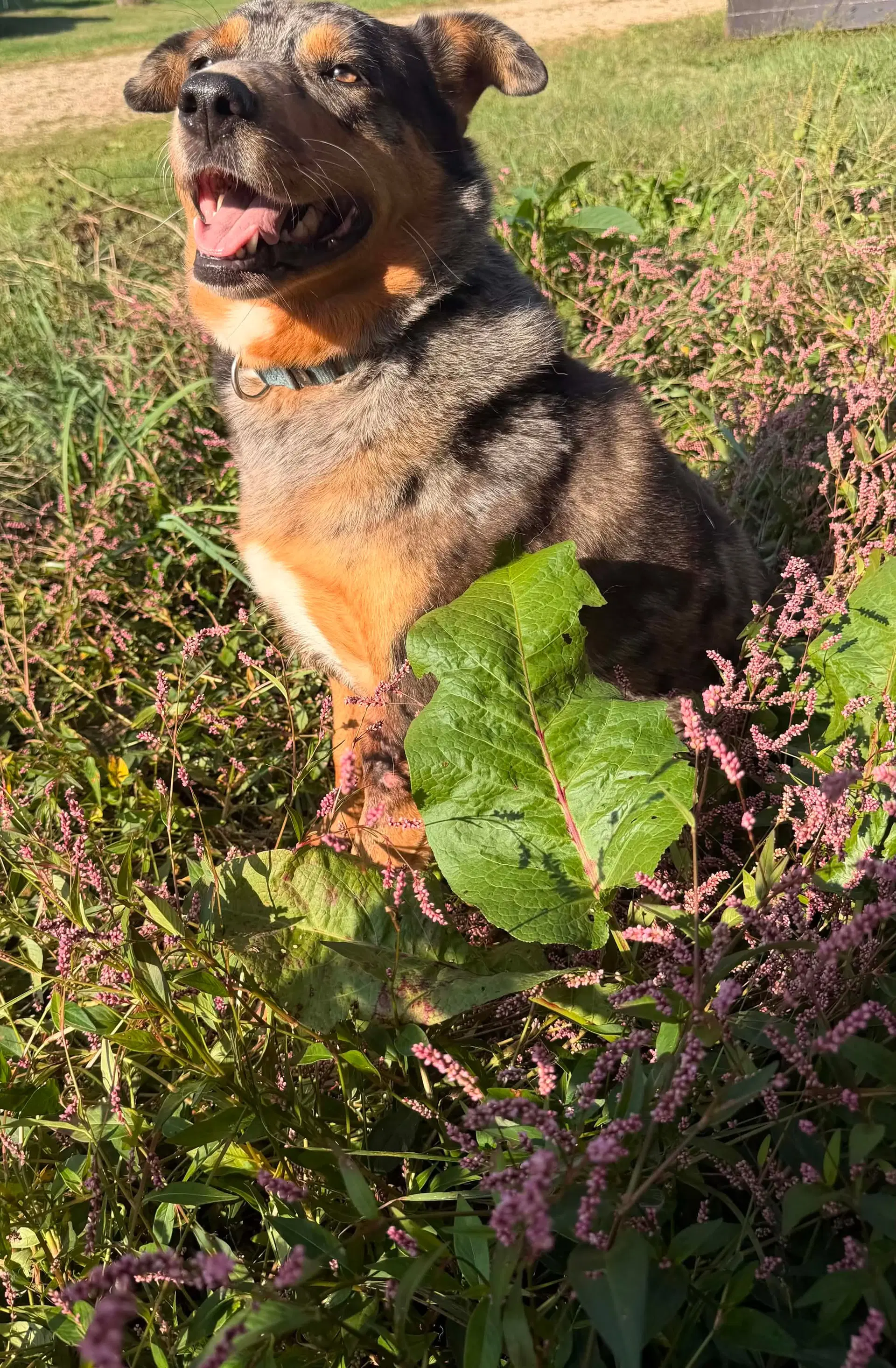 Autumn image 2