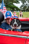 adoptable Dog in  named Chips Ahoy