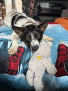 Wrigley - Photo 3