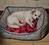 Tuff - Photo 3