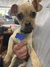 Skeeter - Photo 3