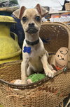 Skeeter - Photo 4