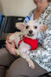 Frodo - Photo 4