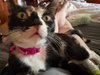 Dalila - Photo 2