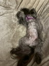 Tiffany - Photo 2