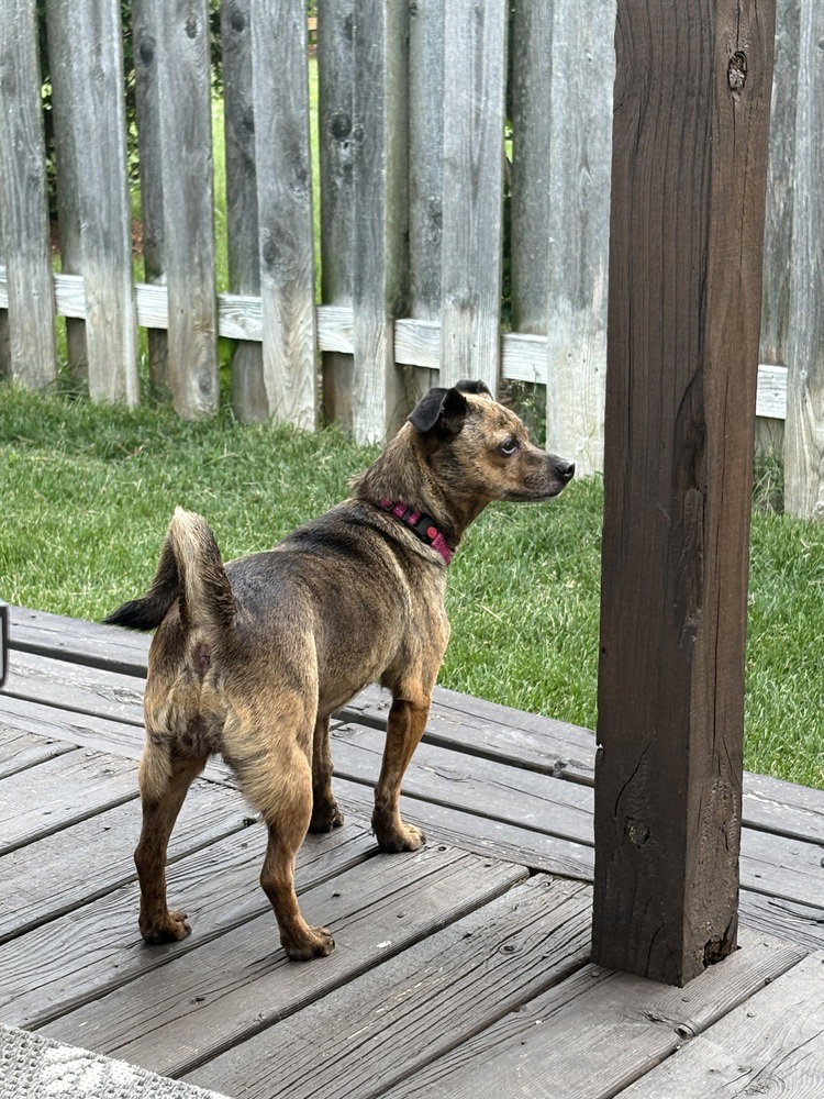 Mitzi