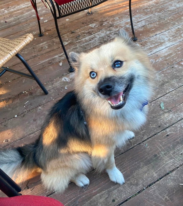 Zeus