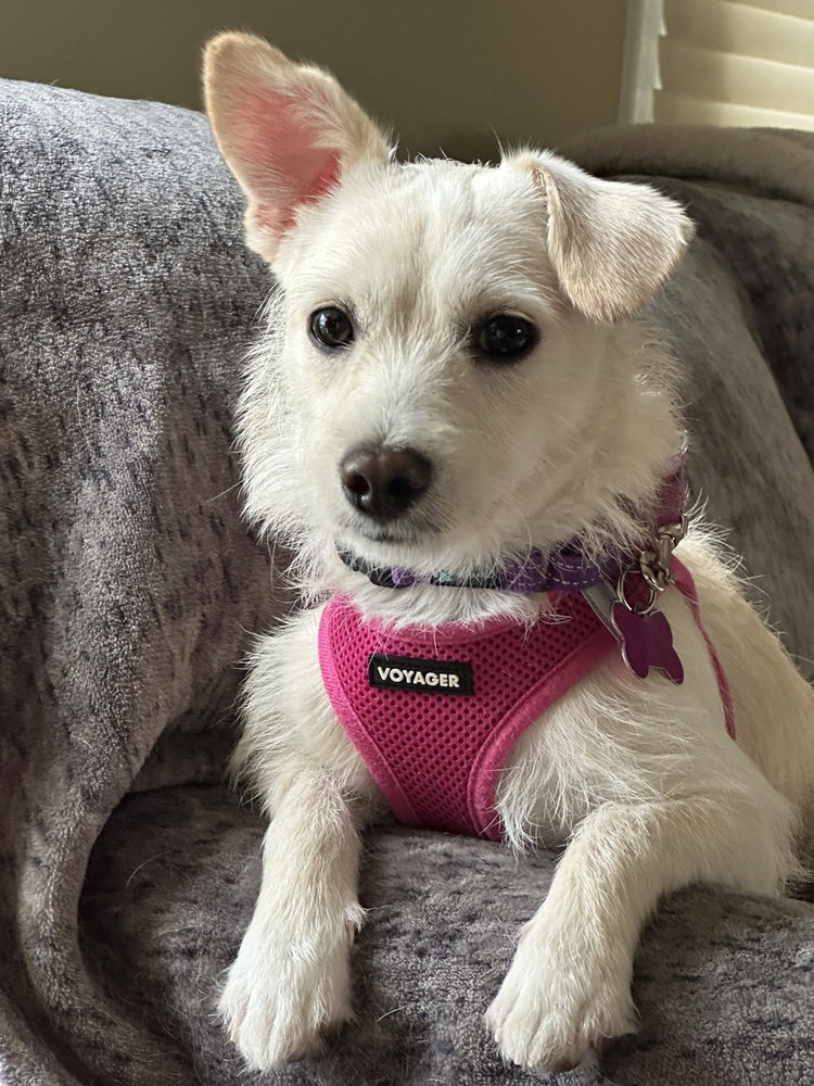 Mae Mae, photo 4