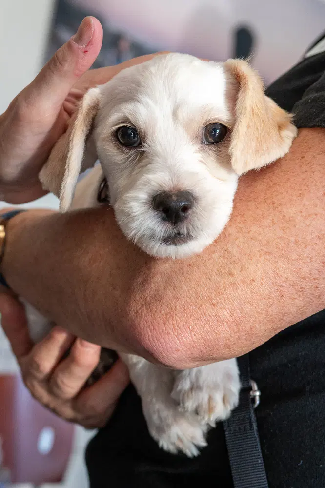 Farley image 3