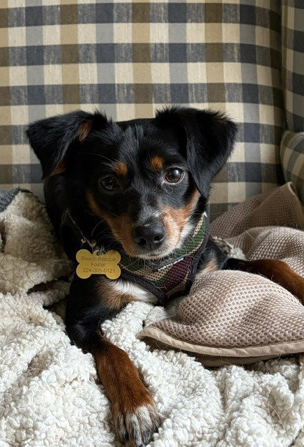 Thor, photo 2