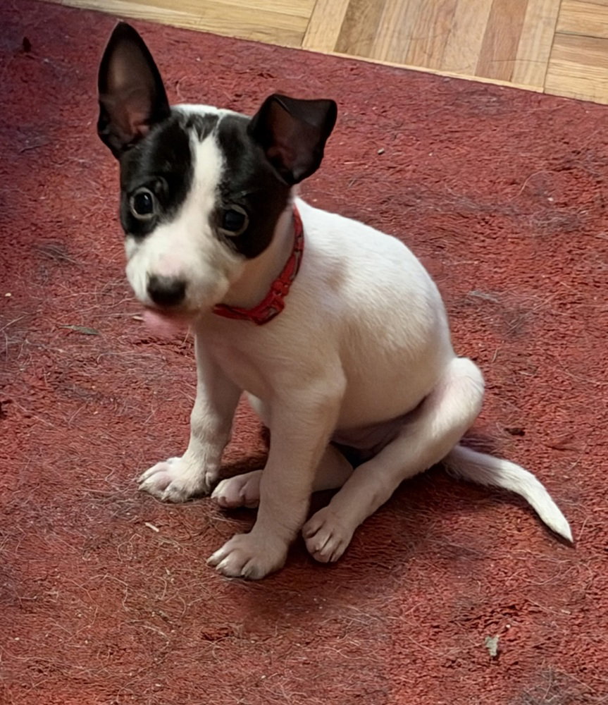 Lucile, photo 2