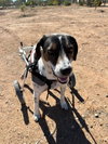Dale - Photo 5