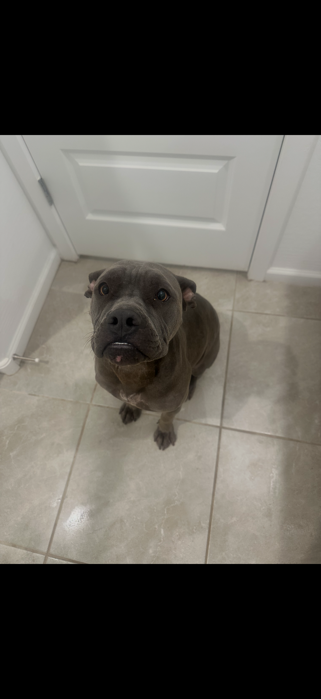 Draco