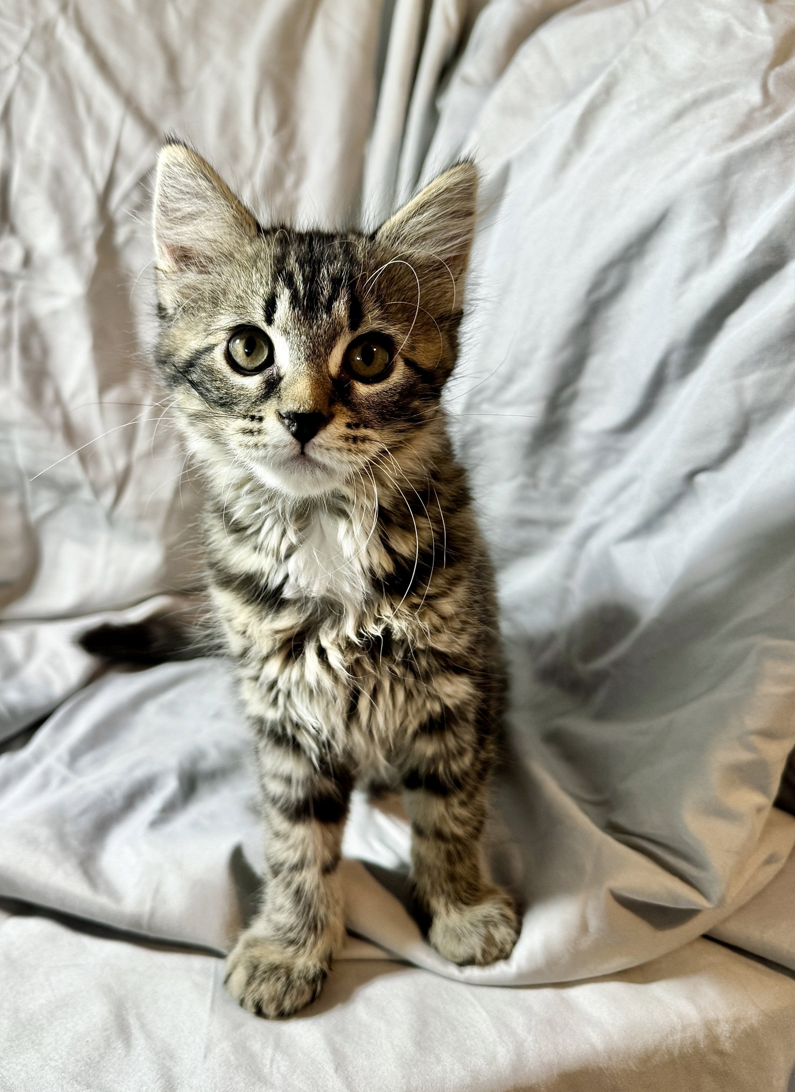 Luna, photo 5