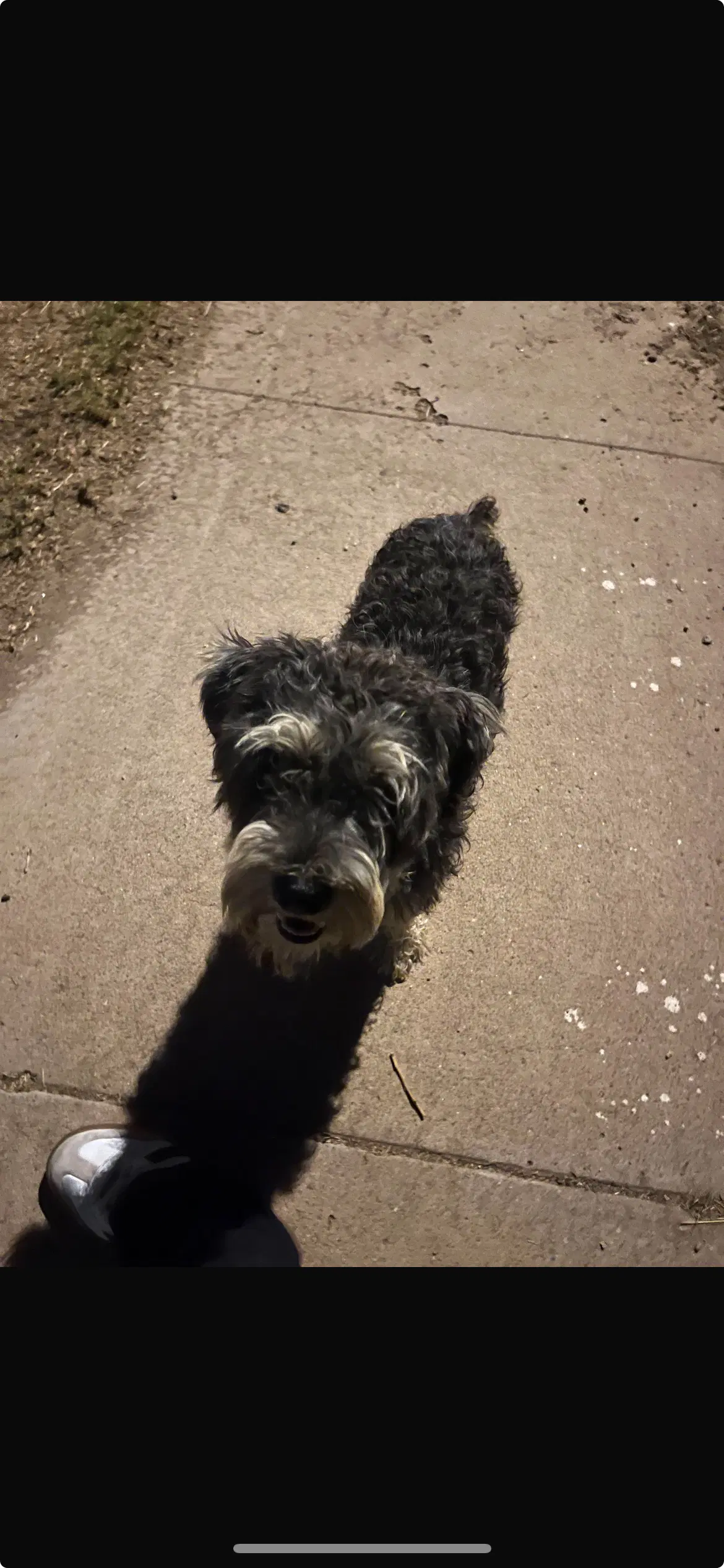 Winston image 4
