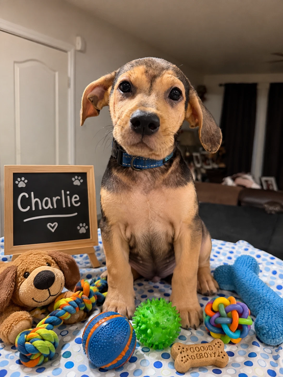 Charlie