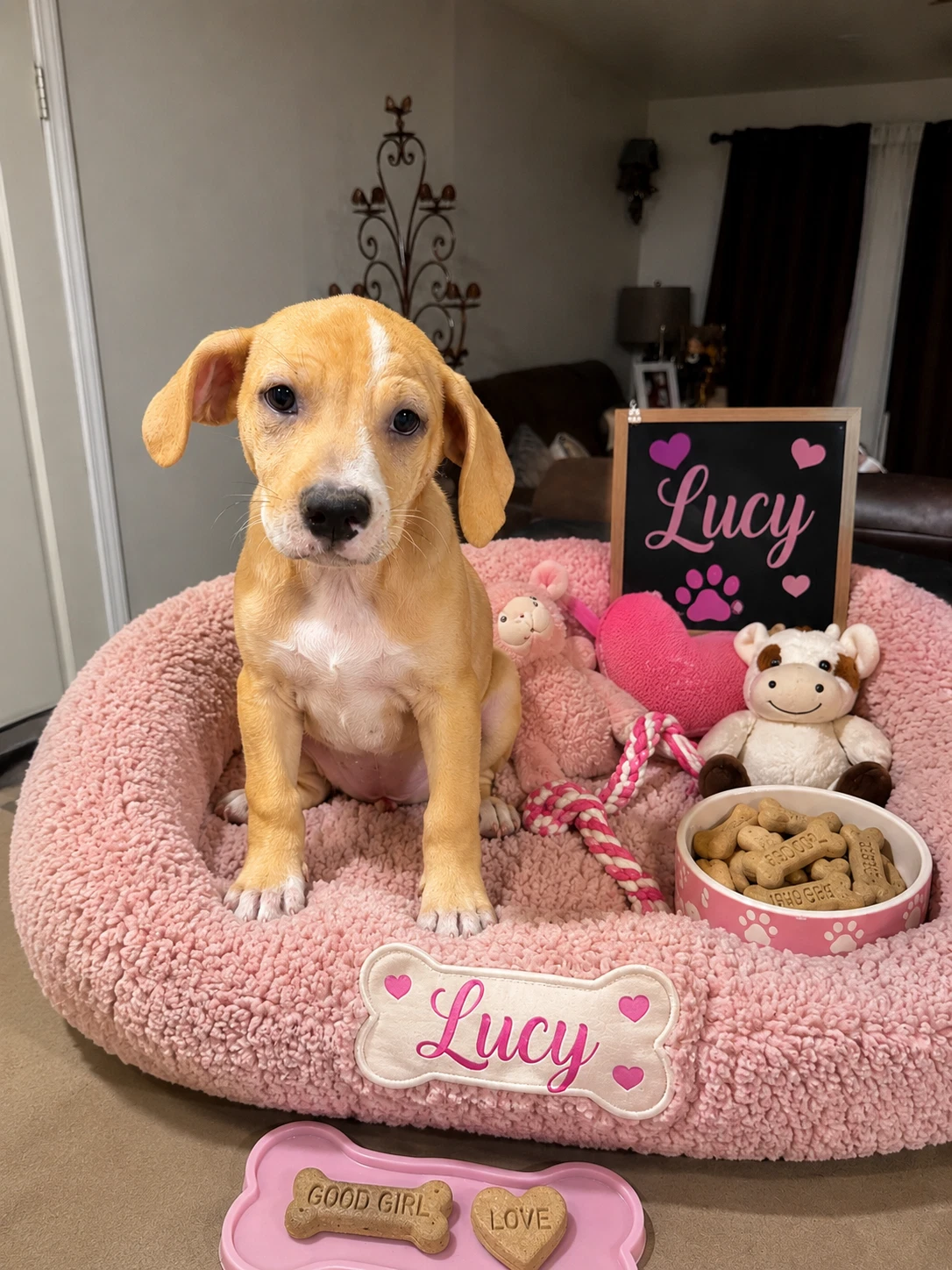 Lucy