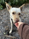 LiLou - Photo 12