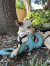 LiLou - Photo 9