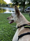 LiLou - Photo 7