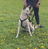 LiLou - Photo 6