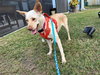 LiLou - Photo 22
