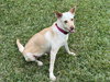 LiLou - Photo 19