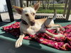LiLou - Photo 20