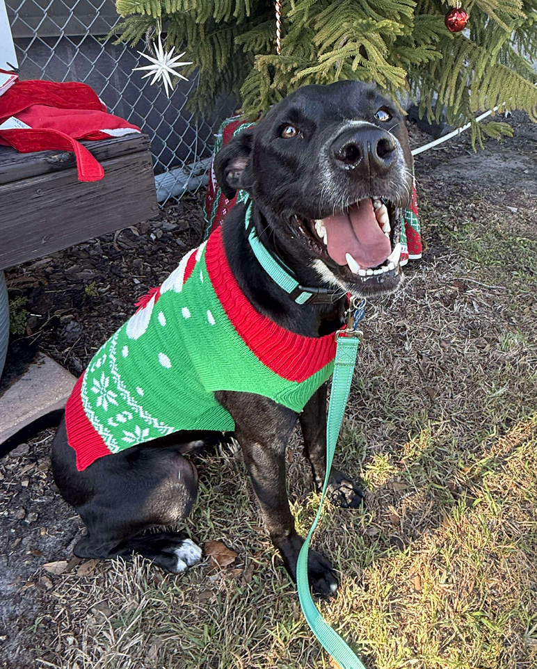 Mathers ADOPTION PENDING