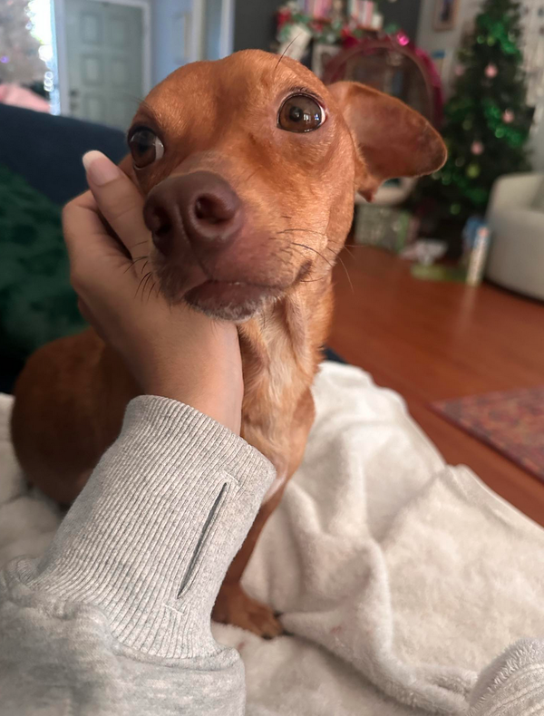 Rudy