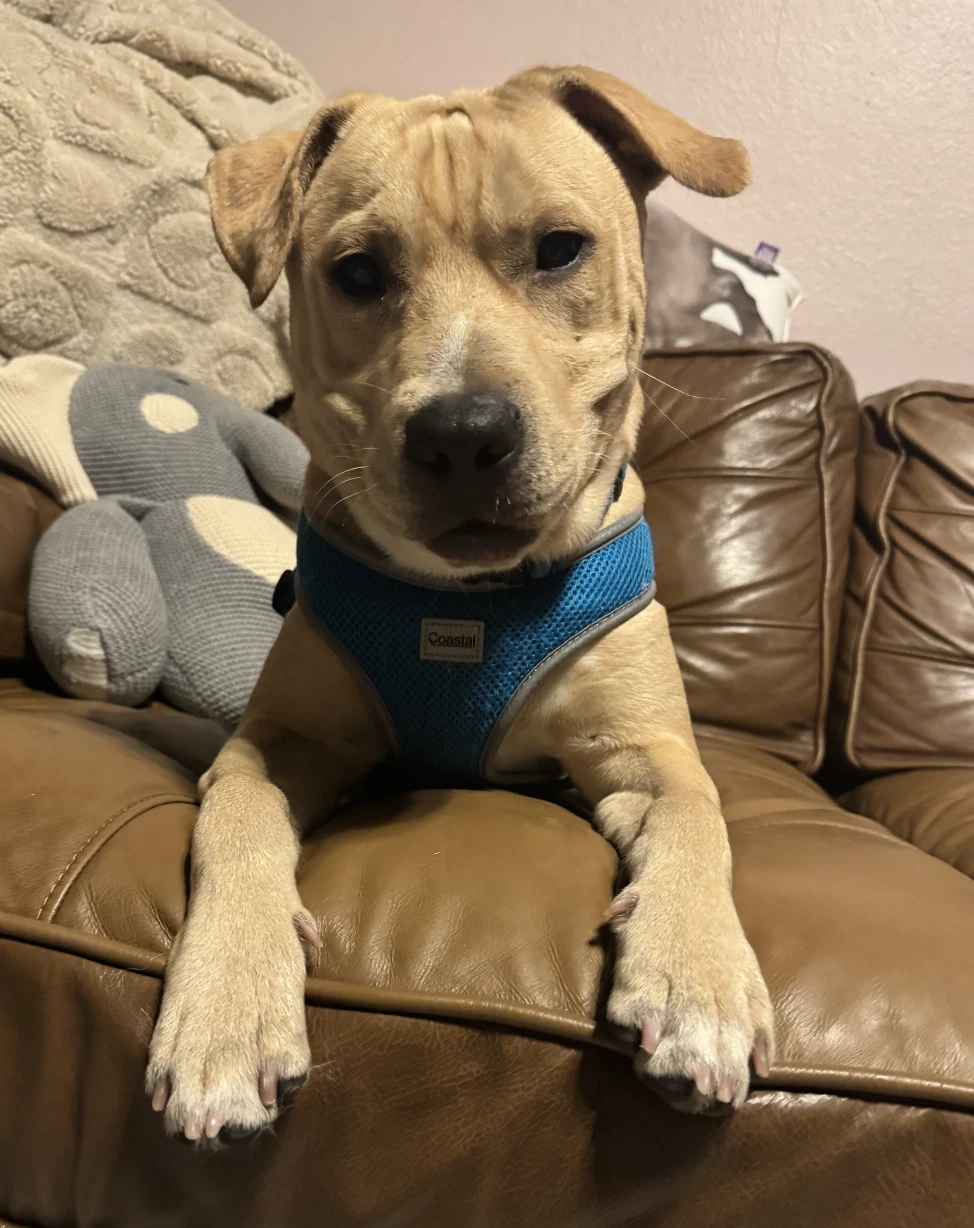 Duke