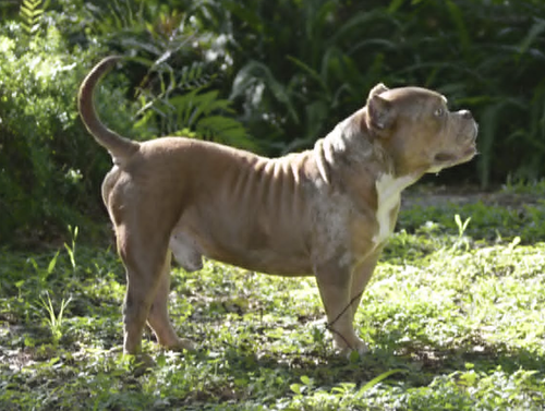 Frankie photo 6