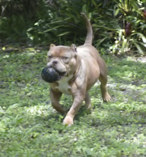 Frankie photo 3