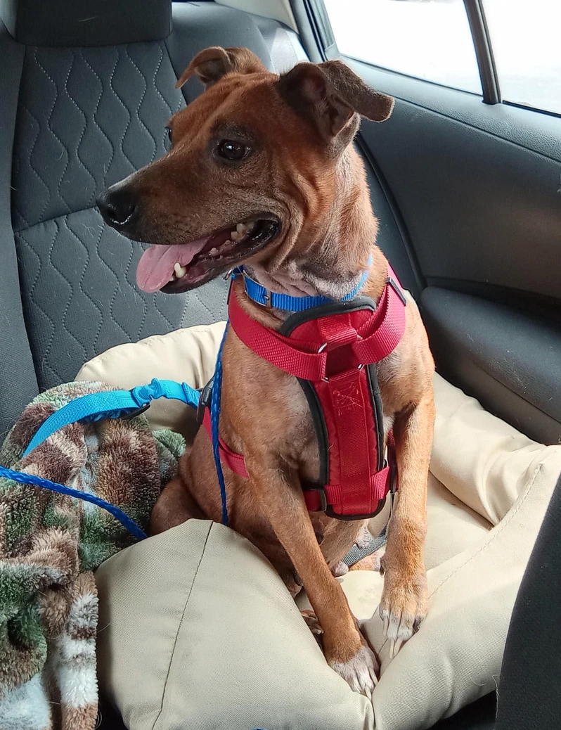 Ellie Mae