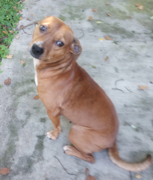 Photo 6 of Ellie Mae