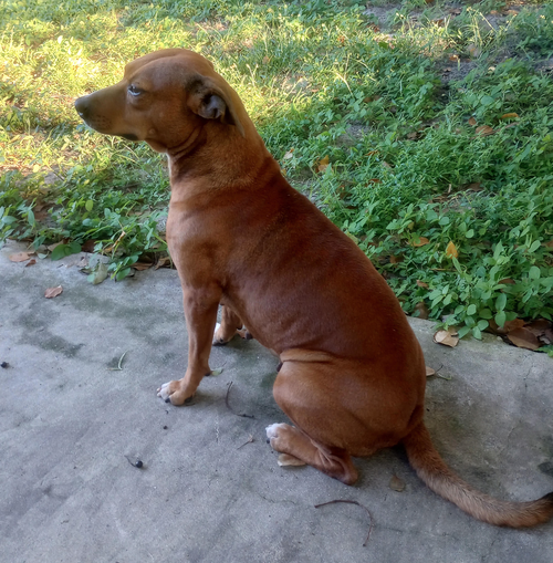 Photo 4 of Ellie Mae