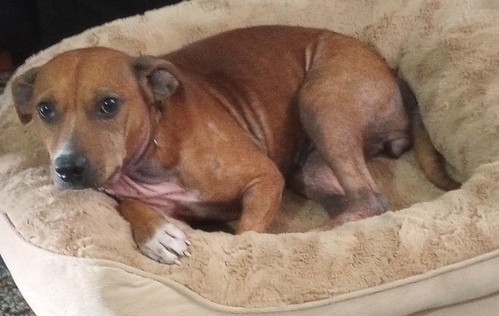 Photo 2 of Ellie Mae