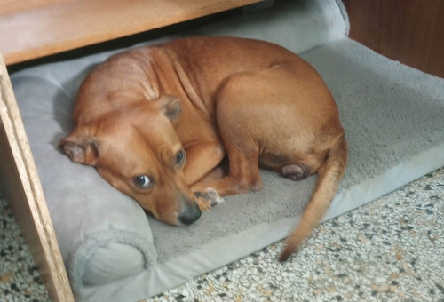 Photo 3 of Ellie Mae