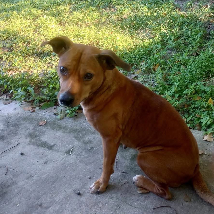 Ellie Mae