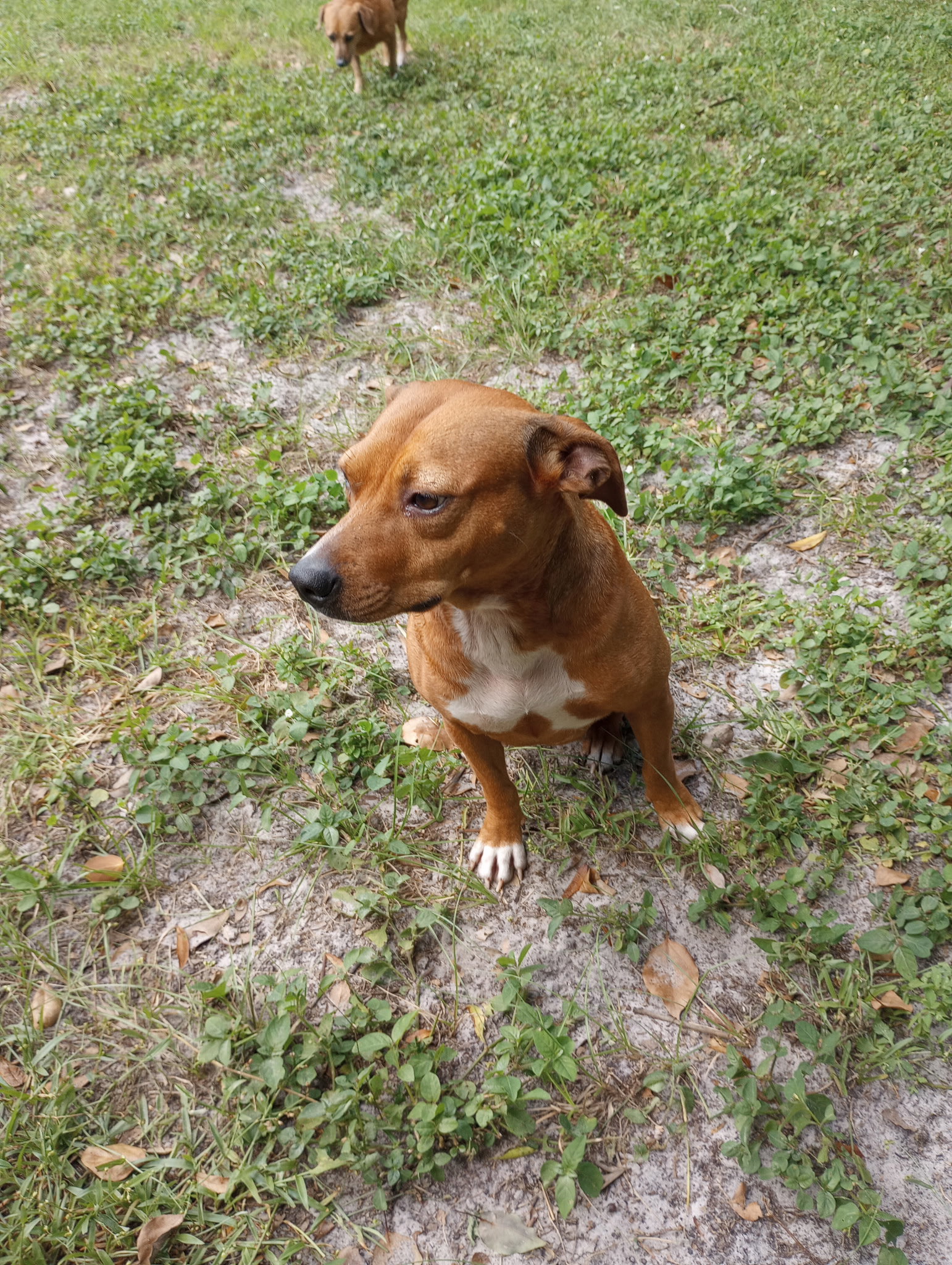 Ellie Mae, photo 2